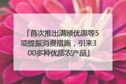 首次推出满额优惠等5项提振消费措施，引来300多种优质农产品