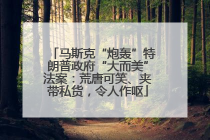马斯克“炮轰”特朗普政府“大而美”法案：荒唐可笑、夹带私货，令人作呕