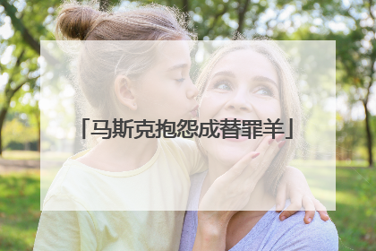 马斯克抱怨成替罪羊