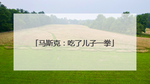 马斯克：吃了儿子一拳