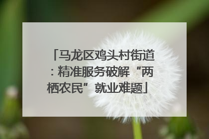 马龙区鸡头村街道：精准服务破解“两栖农民”就业难题