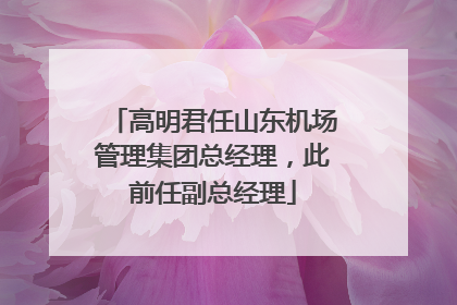 高明君任山东机场管理集团总经理，此前任副总经理