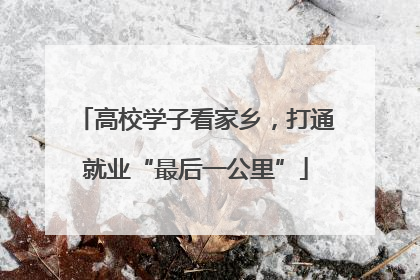 高校学子看家乡，打通就业“最后一公里”