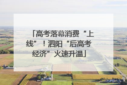 高考落幕消费“上线”！泗阳“后高考经济”火速升温