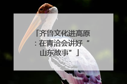齐鲁文化进高原：在青洽会讲好“山东故事”