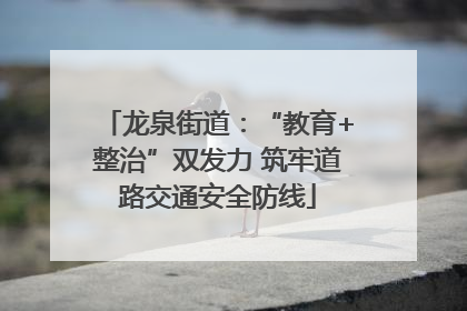 龙泉街道：“教育+整治”双发力 筑牢道路交通安全防线
