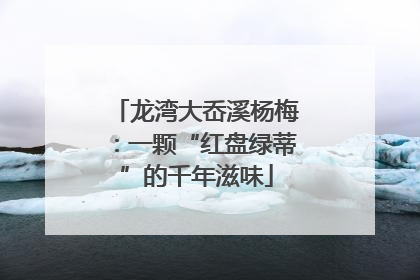 龙湾大岙溪杨梅：一颗“红盘绿蒂”的千年滋味