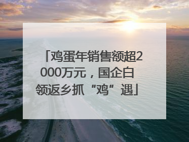 鸡蛋年销售额超2000万元，国企白领返乡抓“鸡”遇