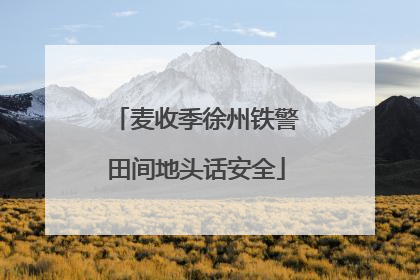 麦收季徐州铁警田间地头话安全