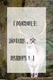 黄晓明主演电影，突然撤档！