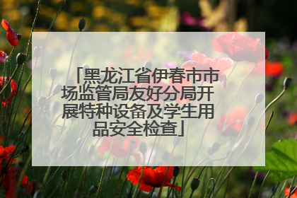 黑龙江省伊春市市场监管局友好分局开展特种设备及学生用品安全检查