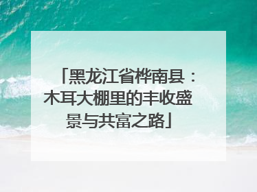 黑龙江省桦南县：木耳大棚里的丰收盛景与共富之路