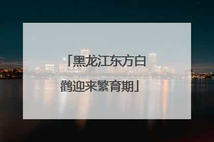 黑龙江东方白鹳迎来繁育期