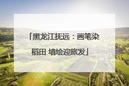 黑龙江抚远：画笔染稻田 墙绘迎旅发