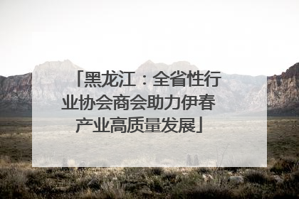 黑龙江：全省性行业协会商会助力伊春产业高质量发展
