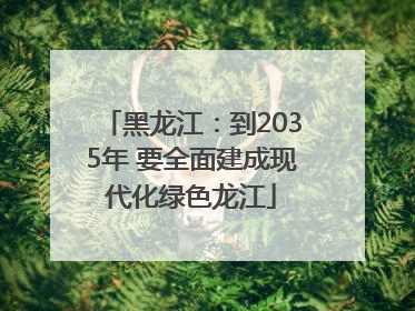 黑龙江：到2035年 要全面建成现代化绿色龙江