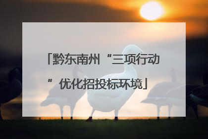 黔东南州“三项行动”优化招投标环境