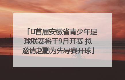 ﻿首届安徽省青少年足球联赛将于9月开赛 拟邀请赵鹏为先导赛开球