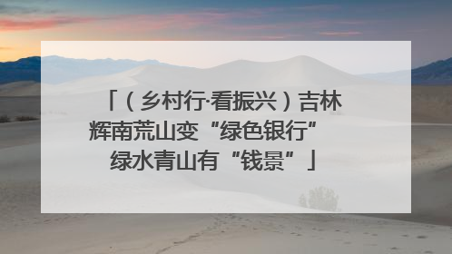 （乡村行·看振兴）吉林辉南荒山变“绿色银行” 绿水青山有“钱景”