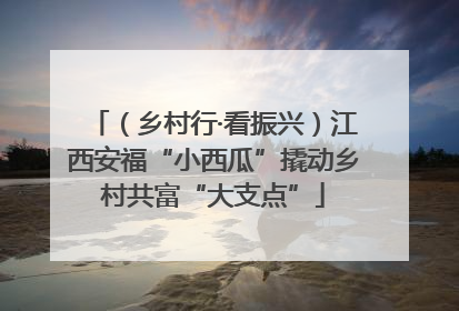 （乡村行·看振兴）江西安福“小西瓜”撬动乡村共富“大支点”