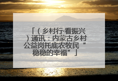（乡村行·看振兴）通讯：内蒙古乡村公益岗托底农牧民“稳稳的幸福”
