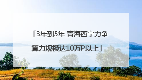 3年到5年 青海西宁力争算力规模达10万P以上