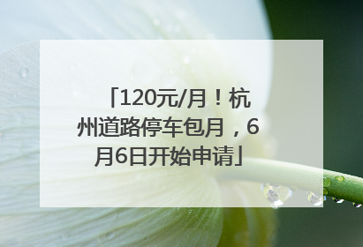 120元/月！杭州道路停车包月，6月6日开始申请