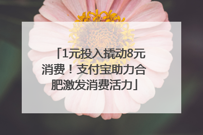 1元投入撬动8元消费！支付宝助力合肥激发消费活力