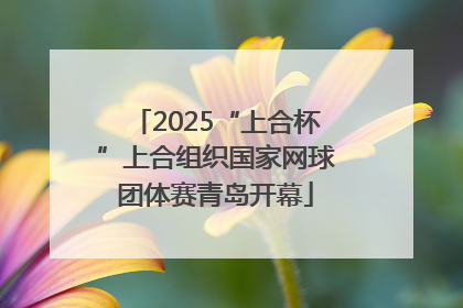 2025“上合杯”上合组织国家网球团体赛青岛开幕