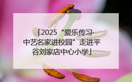 2025“爱乐传习·中艺名家进校园”走进平谷刘家店中心小学
