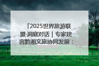 2025世界旅游联盟·洞庭对话｜专家建言黔湘文旅协同发展：聚焦产品稀缺性 深化区域经验共享