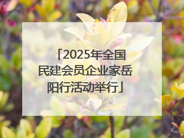 2025年全国民建会员企业家岳阳行活动举行