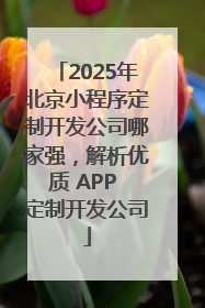 2025年北京小程序定制开发公司哪家强，解析优质 APP 定制开发公司