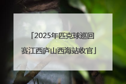 2025年匹克球巡回赛江西庐山西海站收官