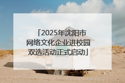 2025年沈阳市网络文化企业进校园双选活动正式启动