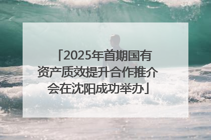 2025年首期国有资产质效提升合作推介会在沈阳成功举办