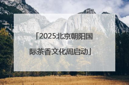 2025北京朝阳国际茶香文化周启动