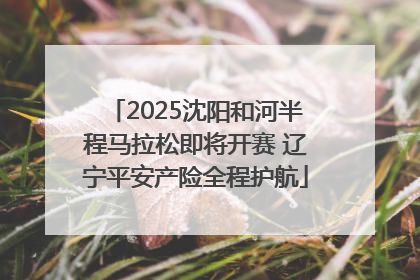 2025沈阳和河半程马拉松即将开赛 辽宁平安产险全程护航