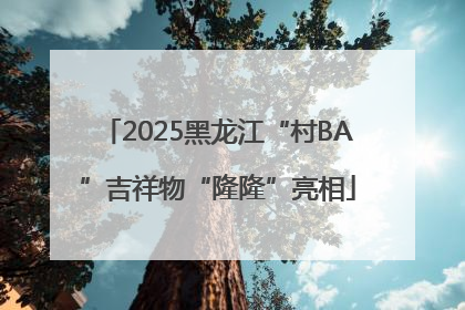 2025黑龙江“村BA”吉祥物“隆隆”亮相