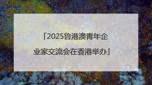 2025鲁港澳青年企业家交流会在香港举办