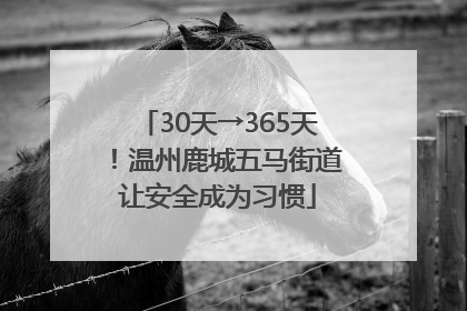 30天→365天！温州鹿城五马街道让安全成为习惯