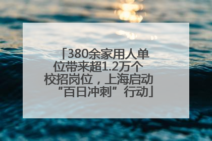 380余家用人单位带来超1.2万个校招岗位，上海启动“百日冲刺”行动