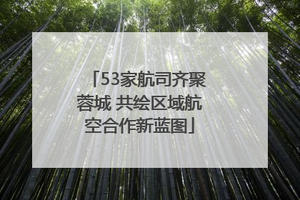 53家航司齐聚蓉城 共绘区域航空合作新蓝图