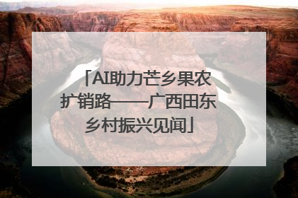 AI助力芒乡果农扩销路——广西田东乡村振兴见闻