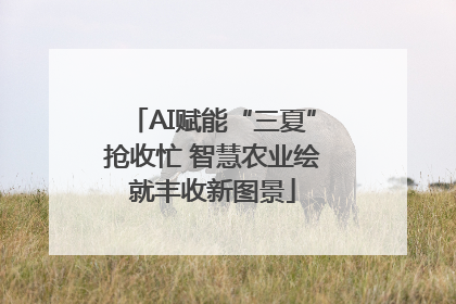 AI赋能“三夏”抢收忙 智慧农业绘就丰收新图景