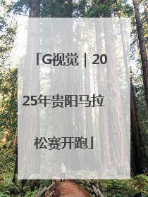 G视觉｜2025年贵阳马拉松赛开跑