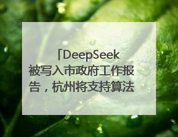 DeepSeek被写入市政府工作报告，杭州将支持算法模型企业发展