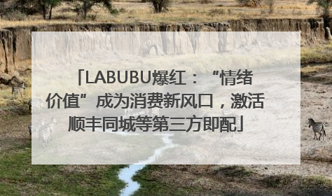LABUBU爆红：“情绪价值”成为消费新风口，激活顺丰同城等第三方即配